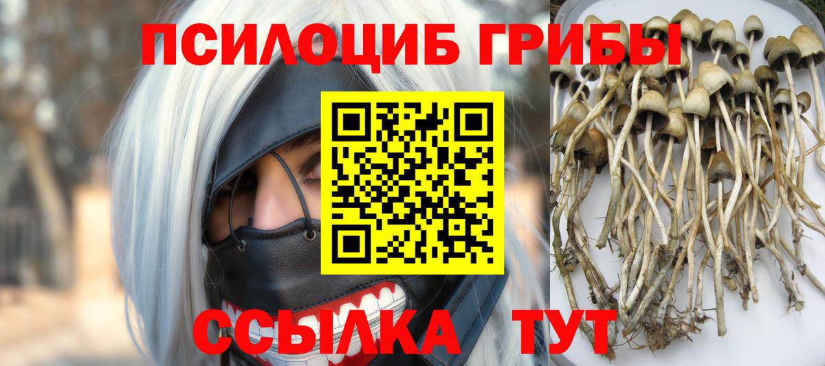 Галлюциногенные грибы Psilocybe  Псилоцибиновые грибы Psilocybine cubensis  Вход с VPN  Лесозаводск 
